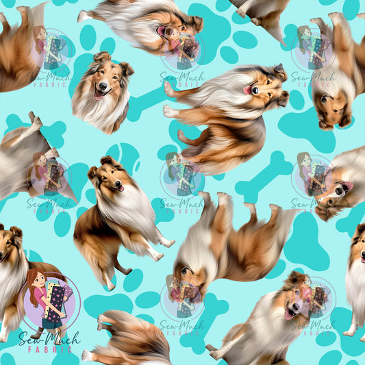 Shetland Sheepdog 1 | Pre-Order |