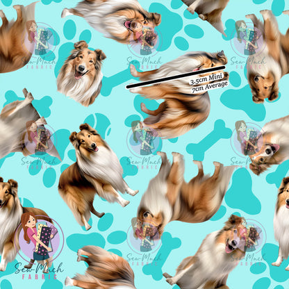 Shetland Sheepdog 1 | Pre-Order |