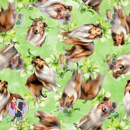 Shetland Sheepdog 2 | Pre-Order |