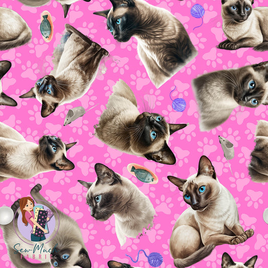 Siamese Cat | Pre-Order |