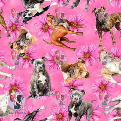 Staffordshire Bull Terrier 2 | Pre-Order |