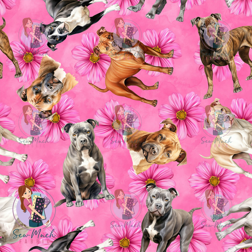 Staffordshire Bull Terrier 2 | Pre-Order |
