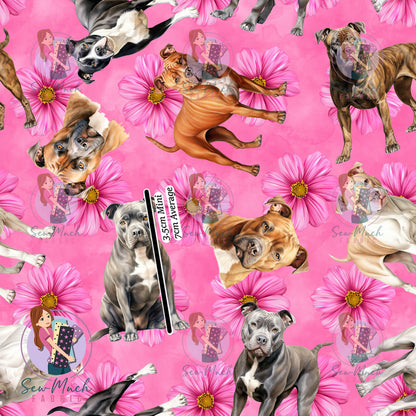 Staffordshire Bull Terrier 2 | Pre-Order |