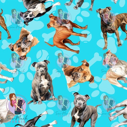 Staffordshire Bull Terrier 1 | Pre-Order |