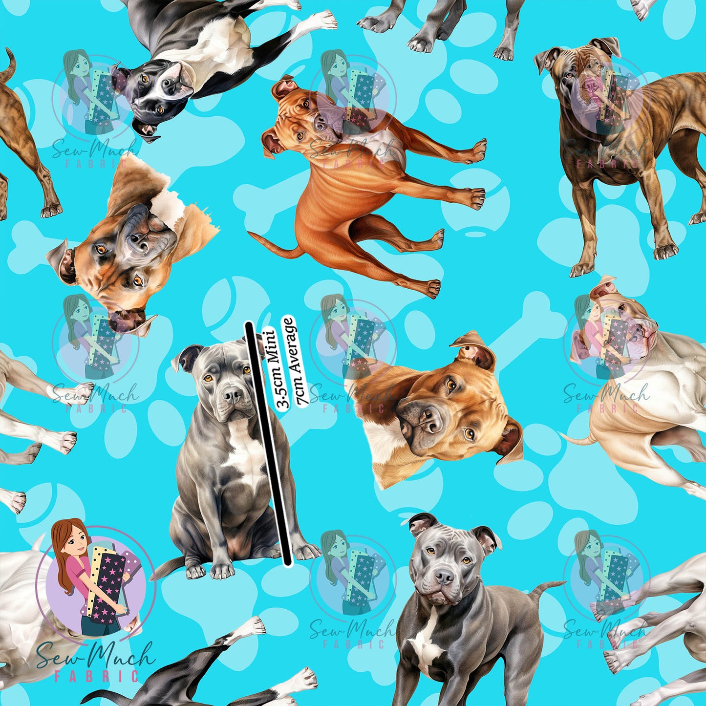 Staffordshire Bull Terrier 1 | Pre-Order |