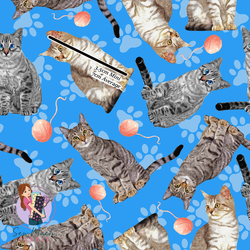 Tabby Cat | Woven | Retail | Average Scale