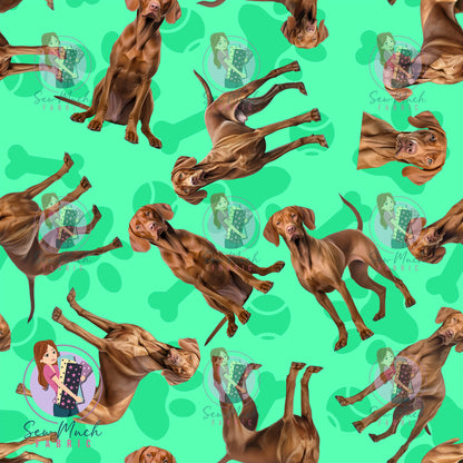 Vizsla 1 | Pre-Order |