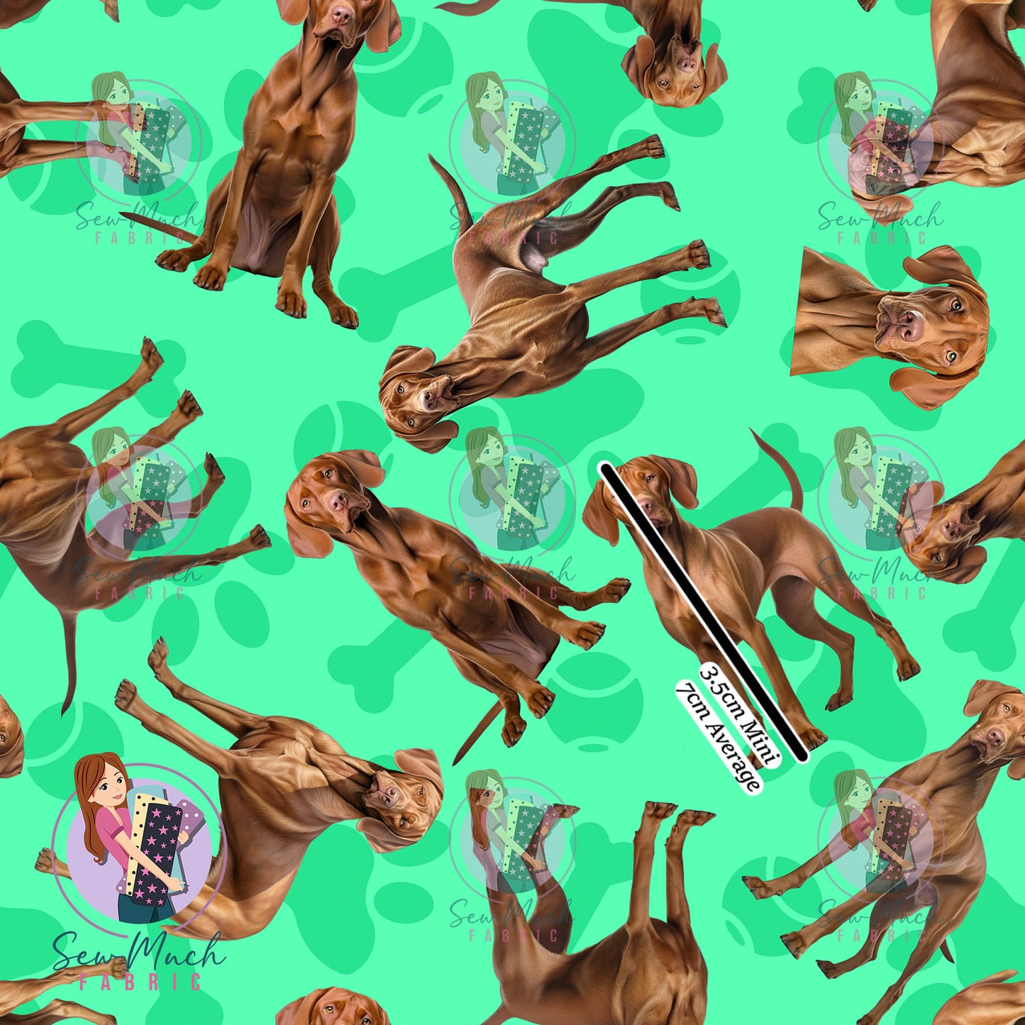 Vizsla 1 | Pre-Order |