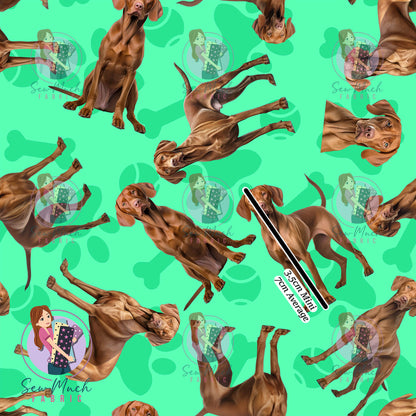 Vizsla 1 | Pre-Order |