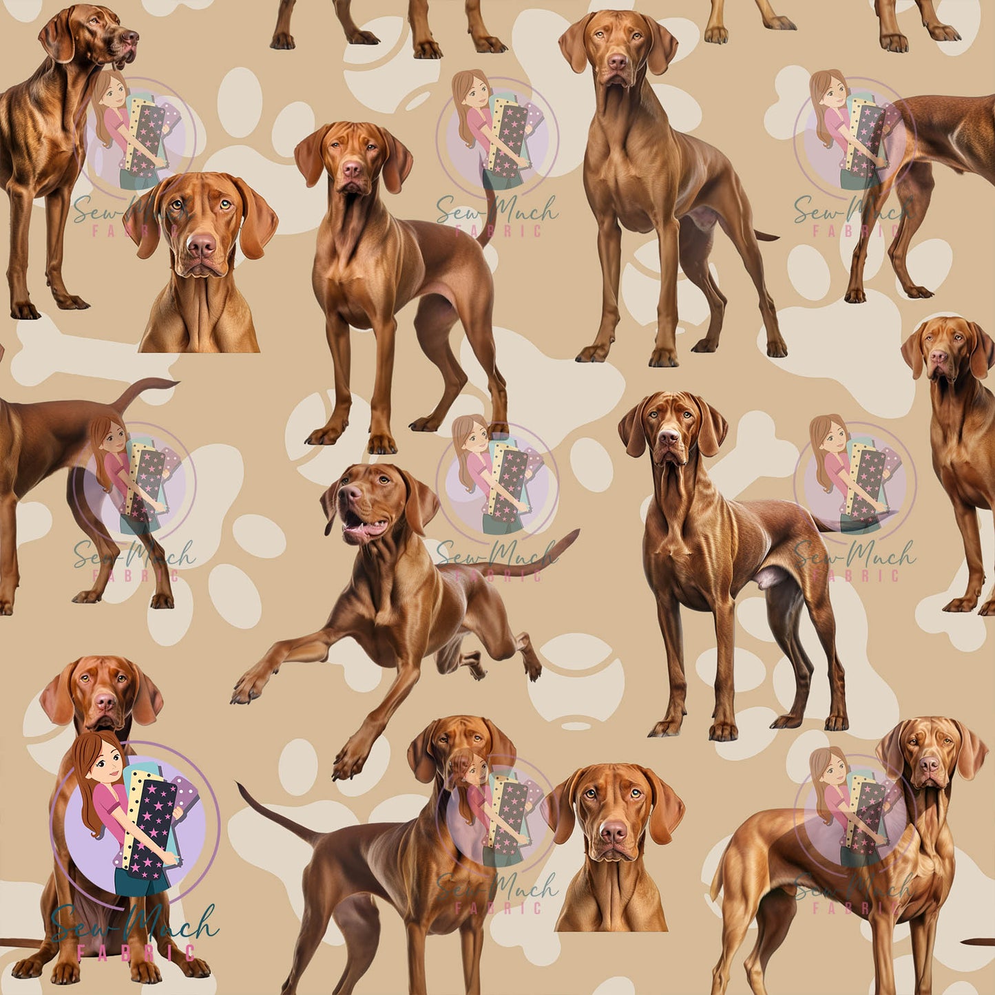 Vizsla | Pre-Order |