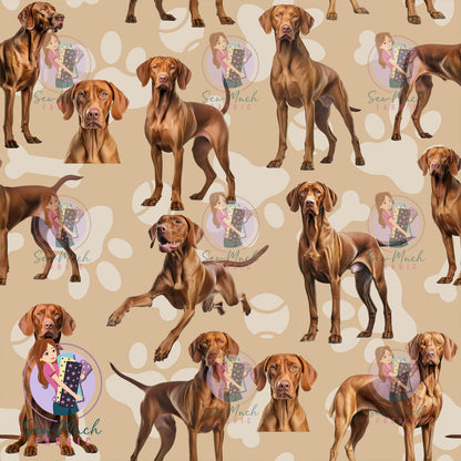 Vizsla | Pre-Order |