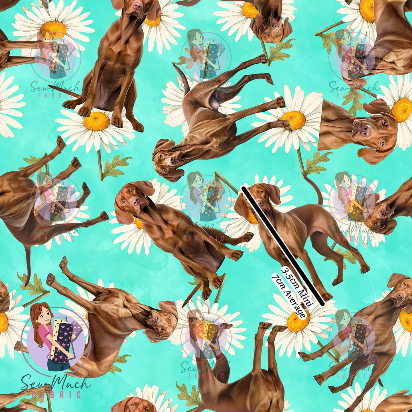 Vizsla 2 | Pre-Order |