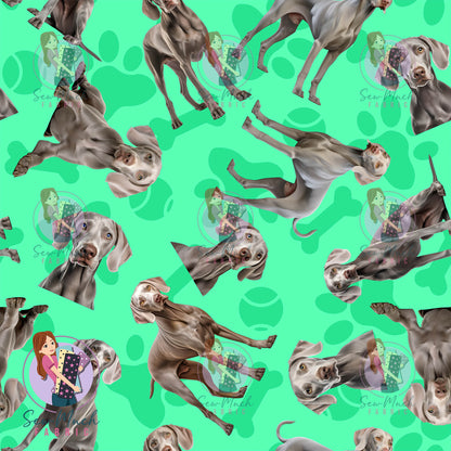 Weimaraner 1 | Pre-Order |