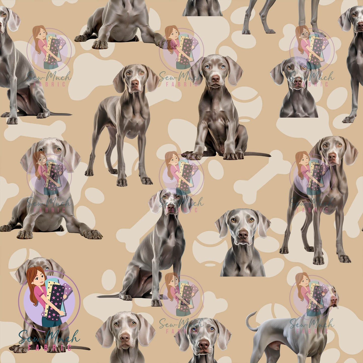 Weimaraner | Pre-Order |