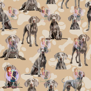 Weimaraner | Pre-Order |
