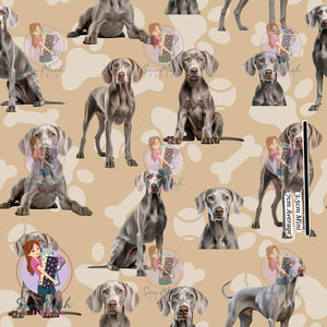 Weimaraner | Pre-Order |