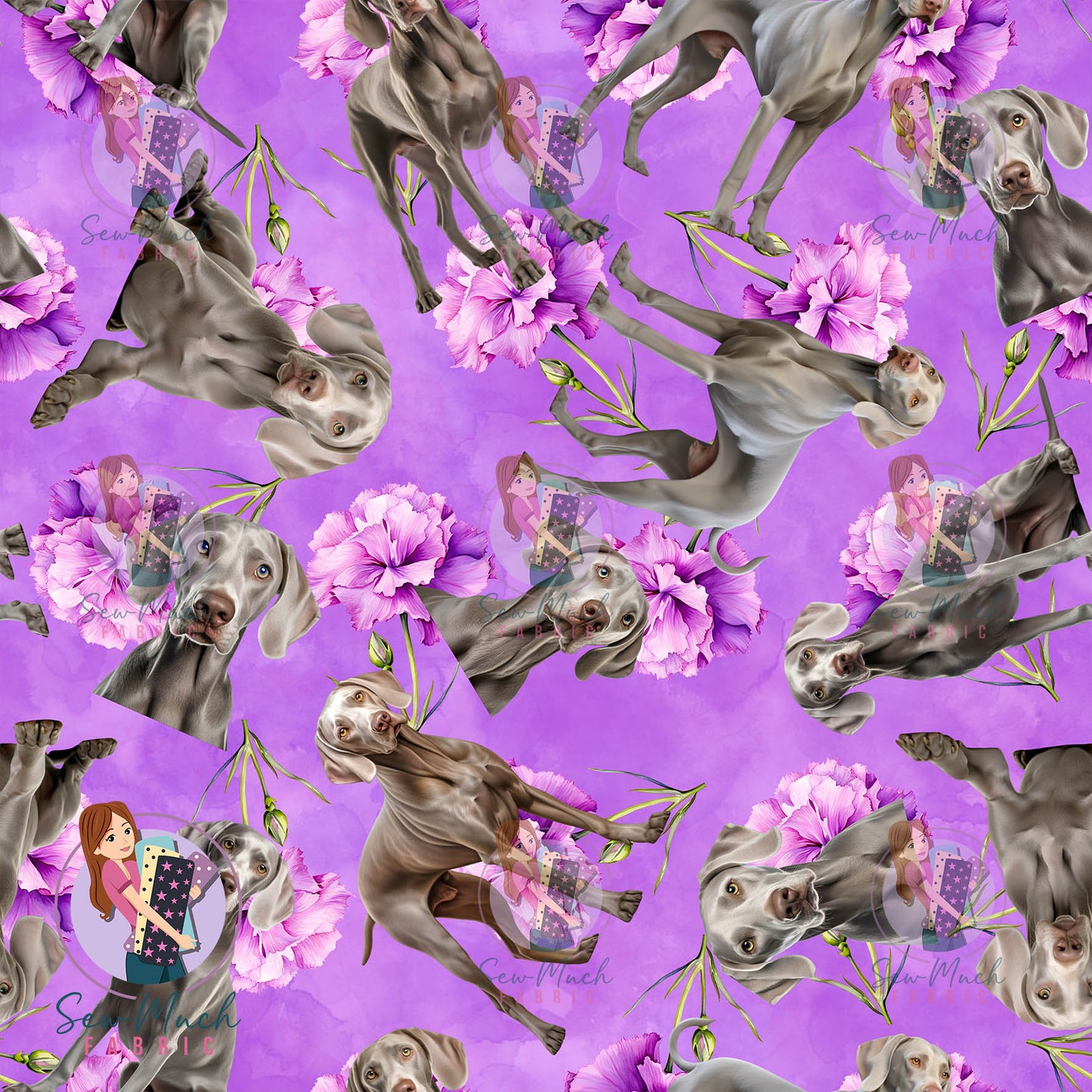 Weimaraner 2 | Pre-Order |