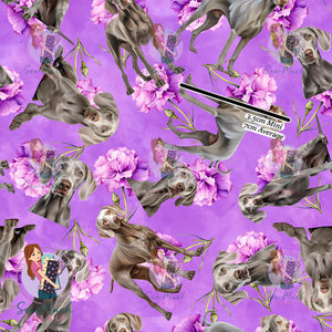 Weimaraner 2 | Pre-Order |