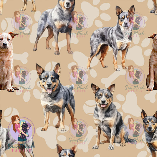 Australian Cattle Dog | Pre-Order |