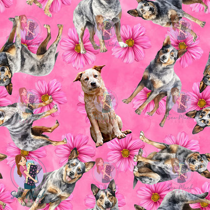 Australian Cattle Dog 1 | Pre-Order |