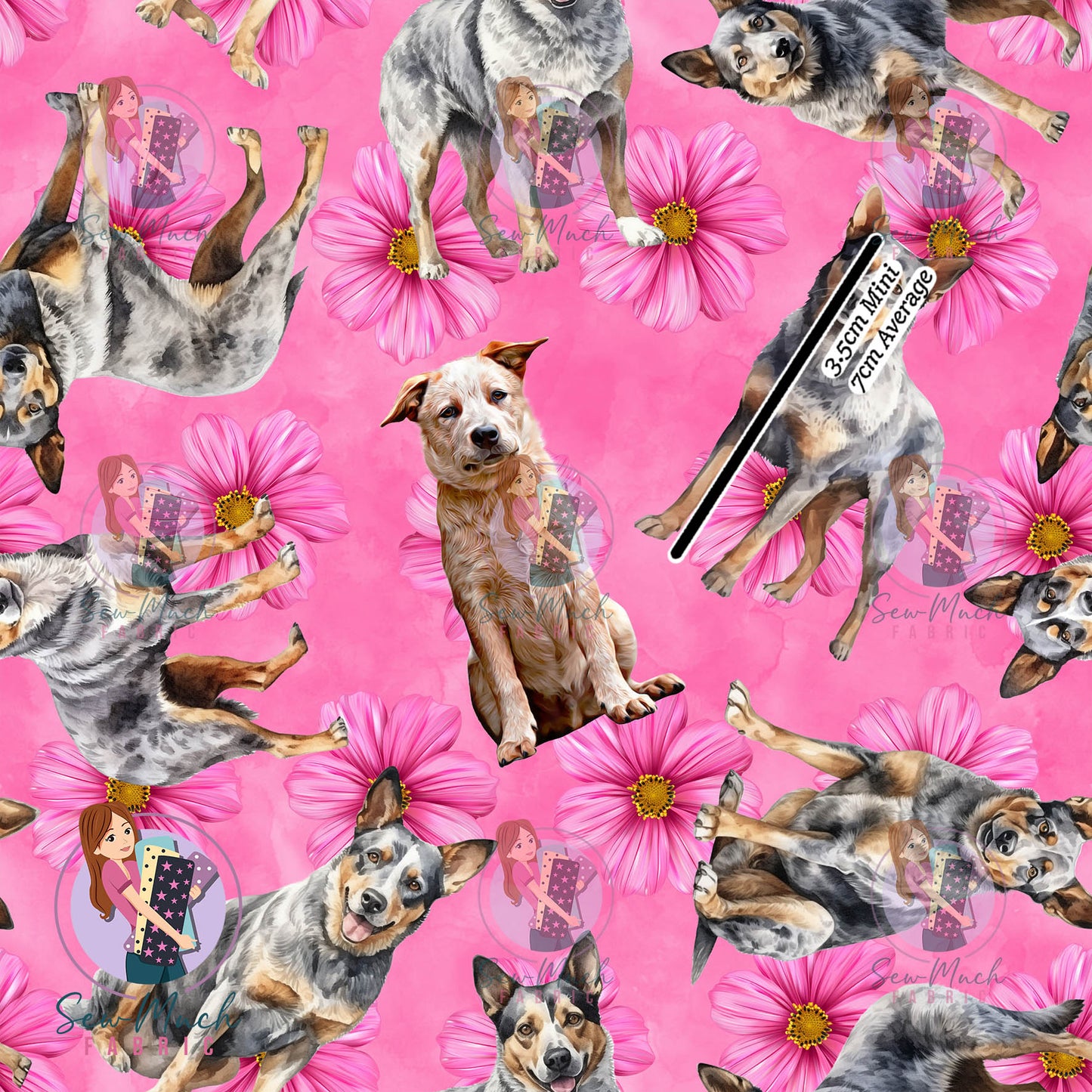 Australian Cattle Dog 1 | Pre-Order |