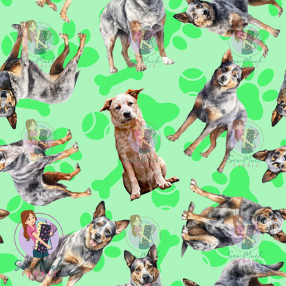 Australian Cattle Dog 2 | Pre-Order |