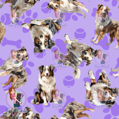 Australian Shepherd 1 | Pre-Order |