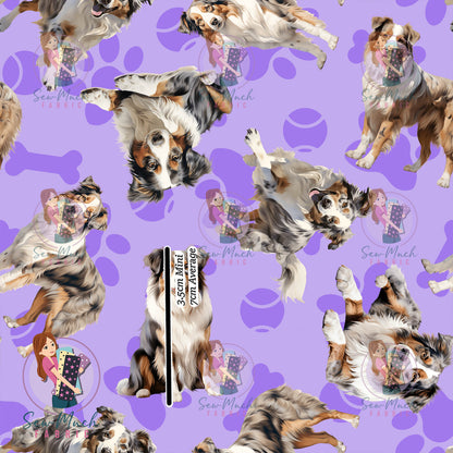 Australian Shepherd 1 | Pre-Order |