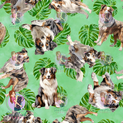 Australian Shepherd 2 | Pre-Order |