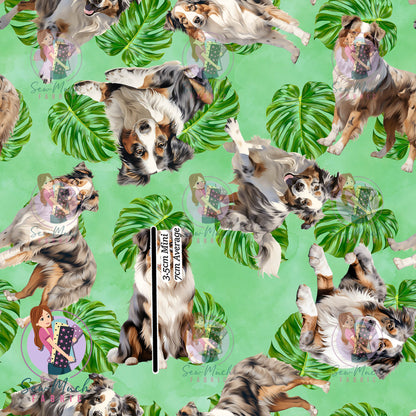 Australian Shepherd 2 | Pre-Order |