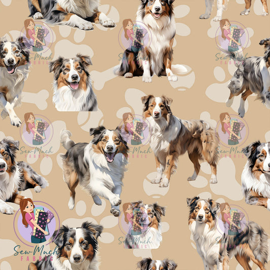 Australian Shepherd | Pre-Order |