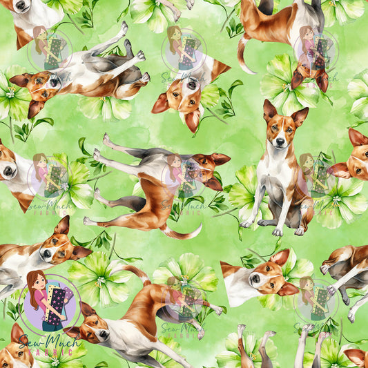 Basenji 2 | Pre-Order |