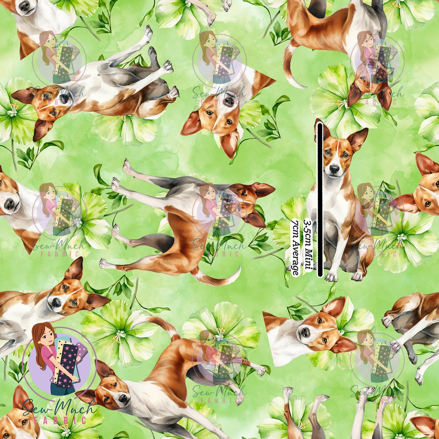 Basenji 2 | Pre-Order |