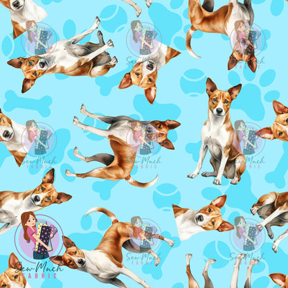 Basenji 1 | Pre-Order |