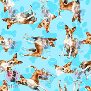 Basenji 1 | Pre-Order |