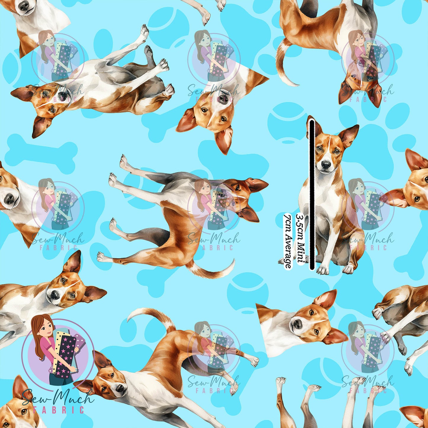 Basenji 1 | Pre-Order |