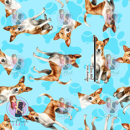 Basenji 1 | Pre-Order |