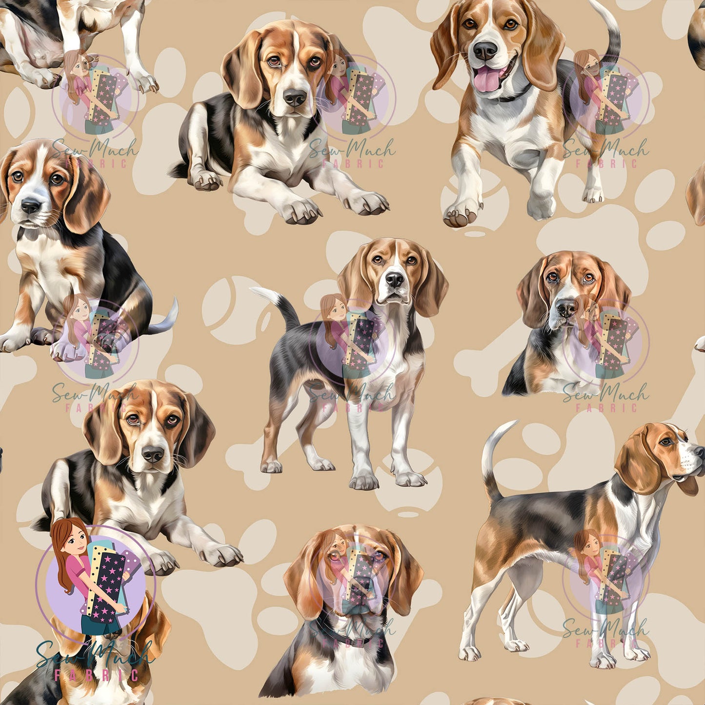 Beagle | Pre-Order |
