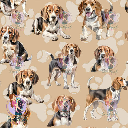 Beagle | Pre-Order |