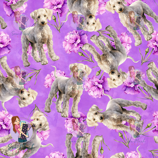 Bedlington Terrier 2 | Pre-Order |