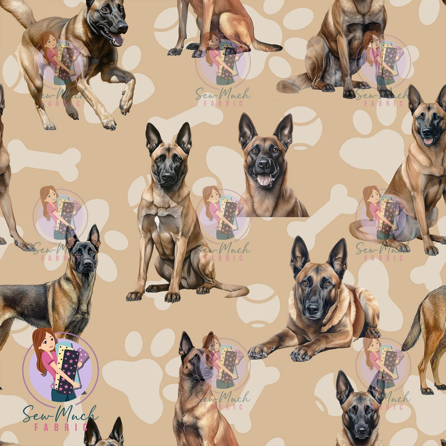 Belgian Malinois | Pre-Order |