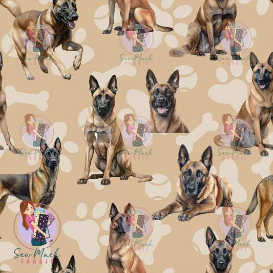 Belgian Malinois | Pre-Order |