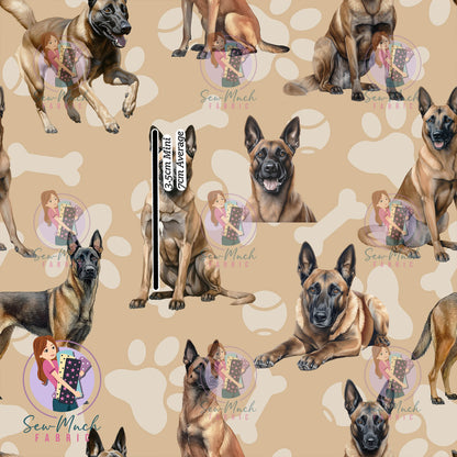 Belgian Malinois | Pre-Order |
