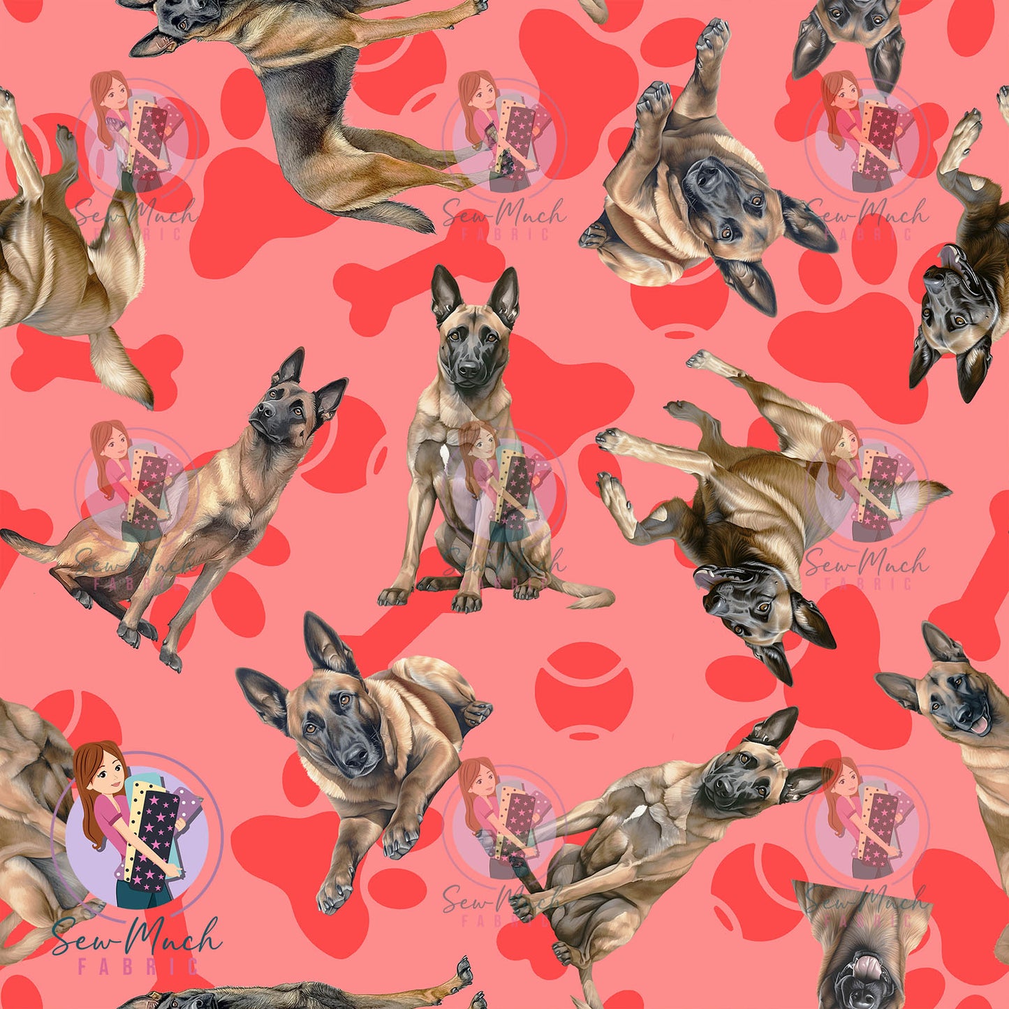 Belgian Malinois 1 | Pre-Order |
