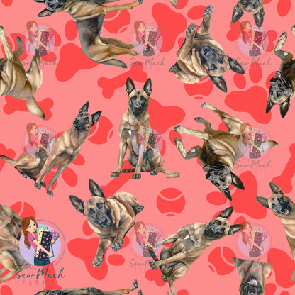 Belgian Malinois 1 | Pre-Order |