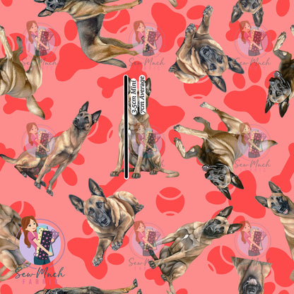Belgian Malinois 1 | Pre-Order |