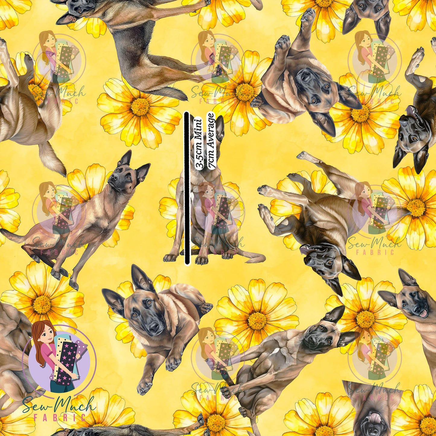 Belgian Malinois 2 | Pre-Order |