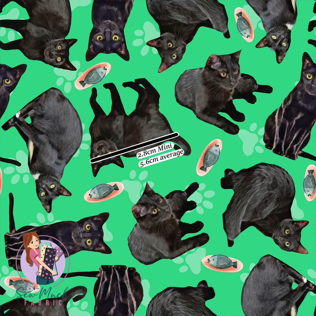 Black Cats | Woven | Retail | Average Scale