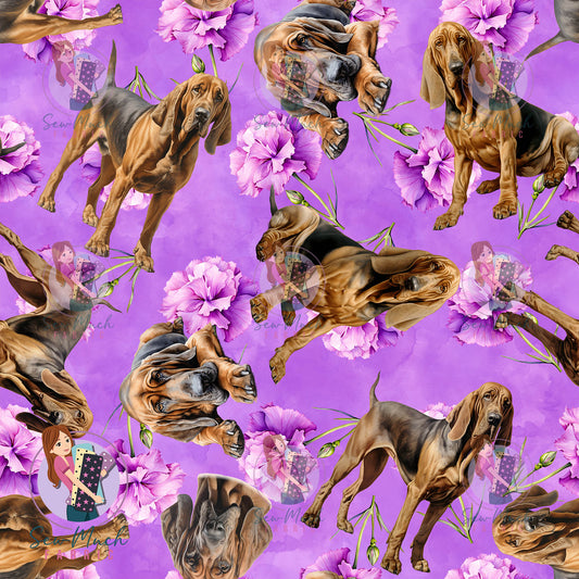 Bloodhound 2 | Pre-Order |