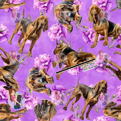 Bloodhound 2 | Pre-Order |